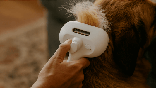 Pet Hair Removal Comb