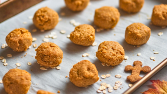 Homemade Dog Treats with Turkey