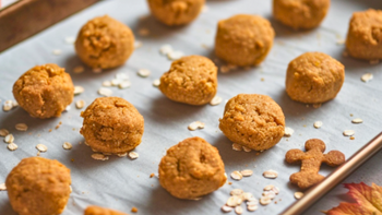 Homemade Dog Treats with Turkey