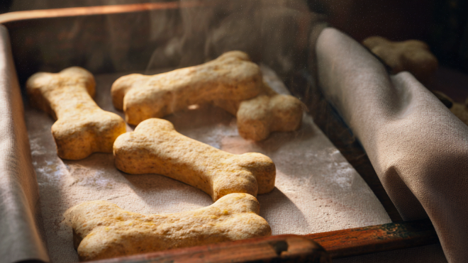 Dog Birthday Cake Recipe