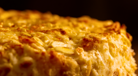 dog biscuit recipes meat