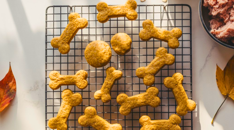 Ground Turkey Dog Treats Recipes