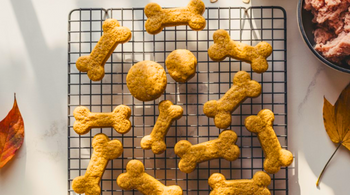 Ground Turkey Dog Treats Recipes