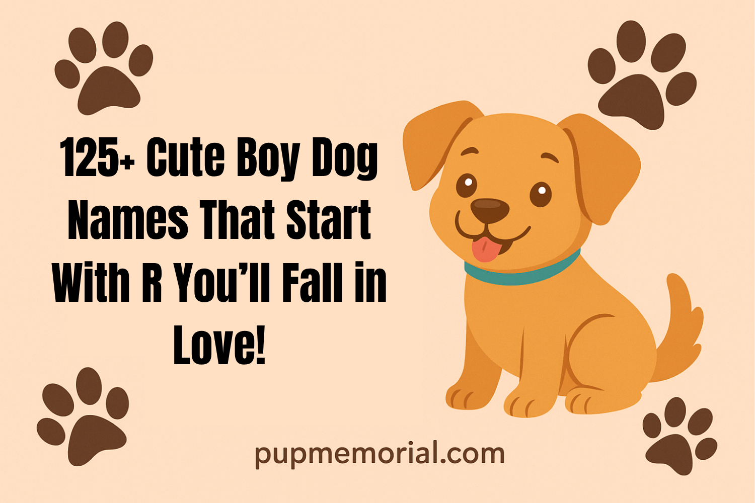125+ Cute Boy Dog Names That Start With R You’ll Fall in Love – PupMemorial
