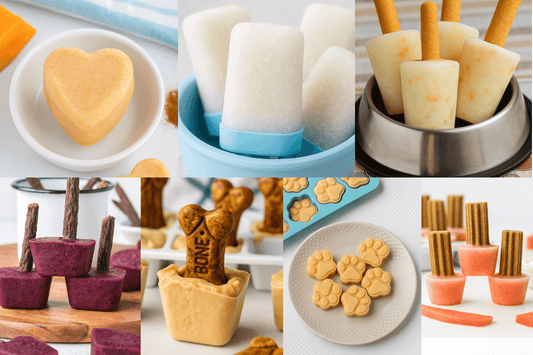 7 Frozen Dog Treats You Can Make at Home  (Using Plain Yogurt & Ice Cube Trays)
