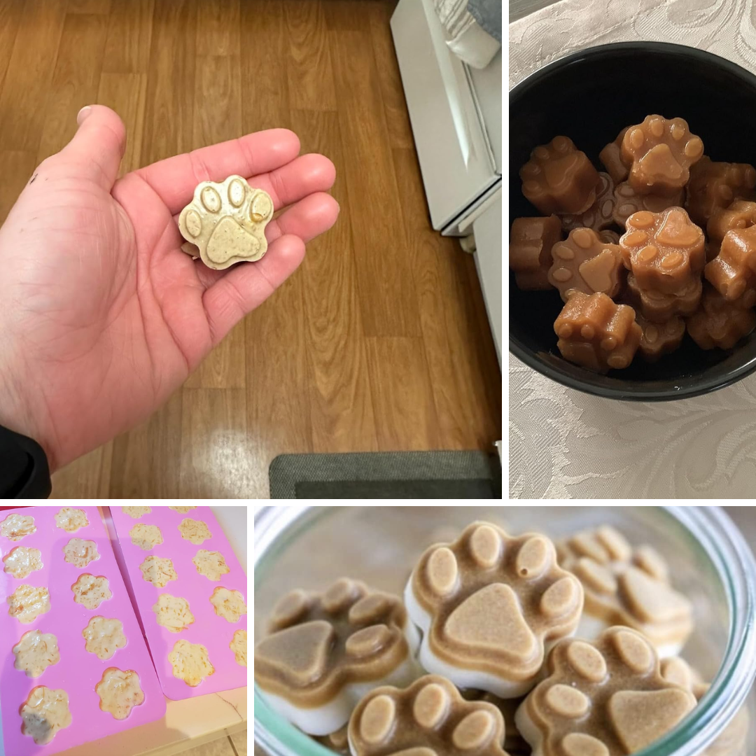 Paw Silicone Mold