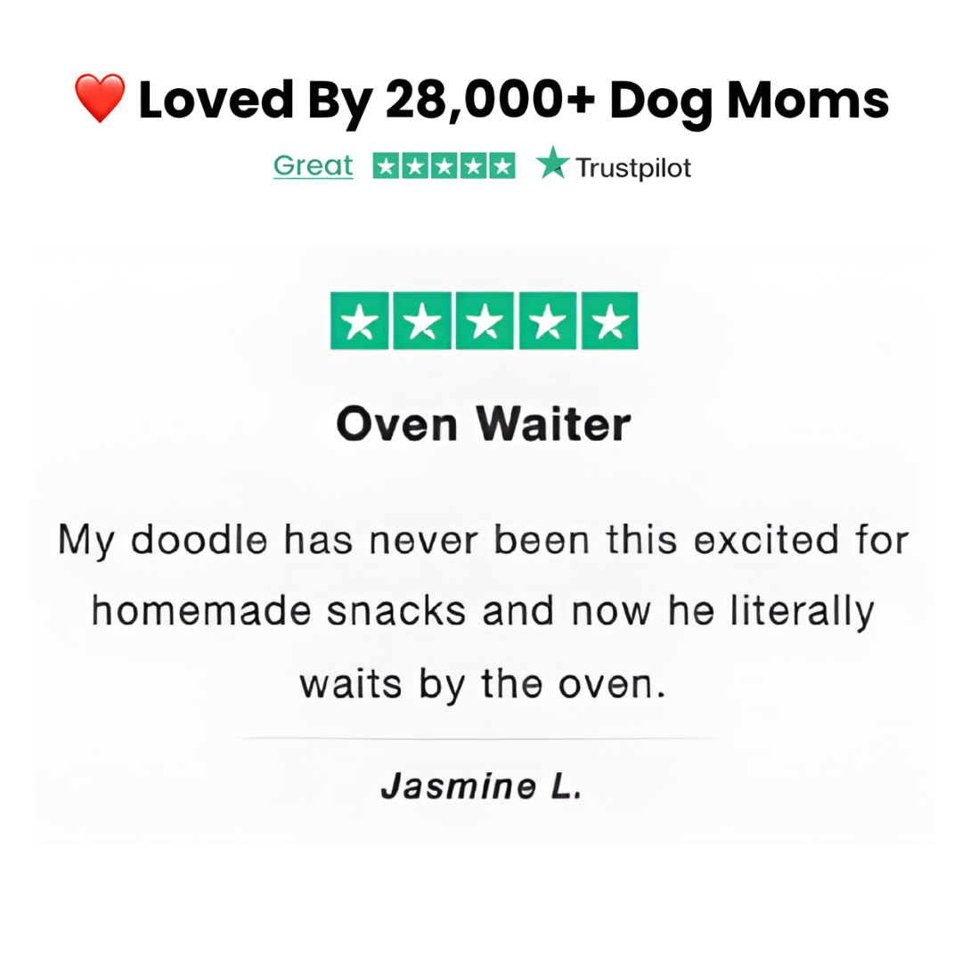 100+ Homemade Dog Treats Cookbook