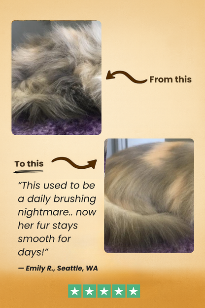 FreshFur™ Waterless Shampoo
