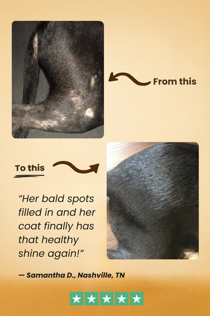 FreshFur™ Waterless Shampoo