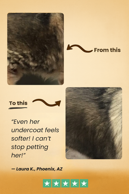 FreshFur™ Waterless Shampoo