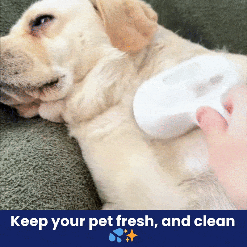 FreshFur™ Mist Brush