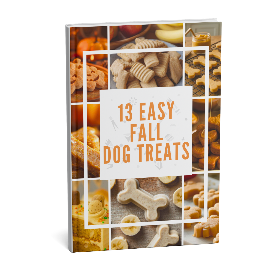 13 Monthly Seasonal Treat Collections