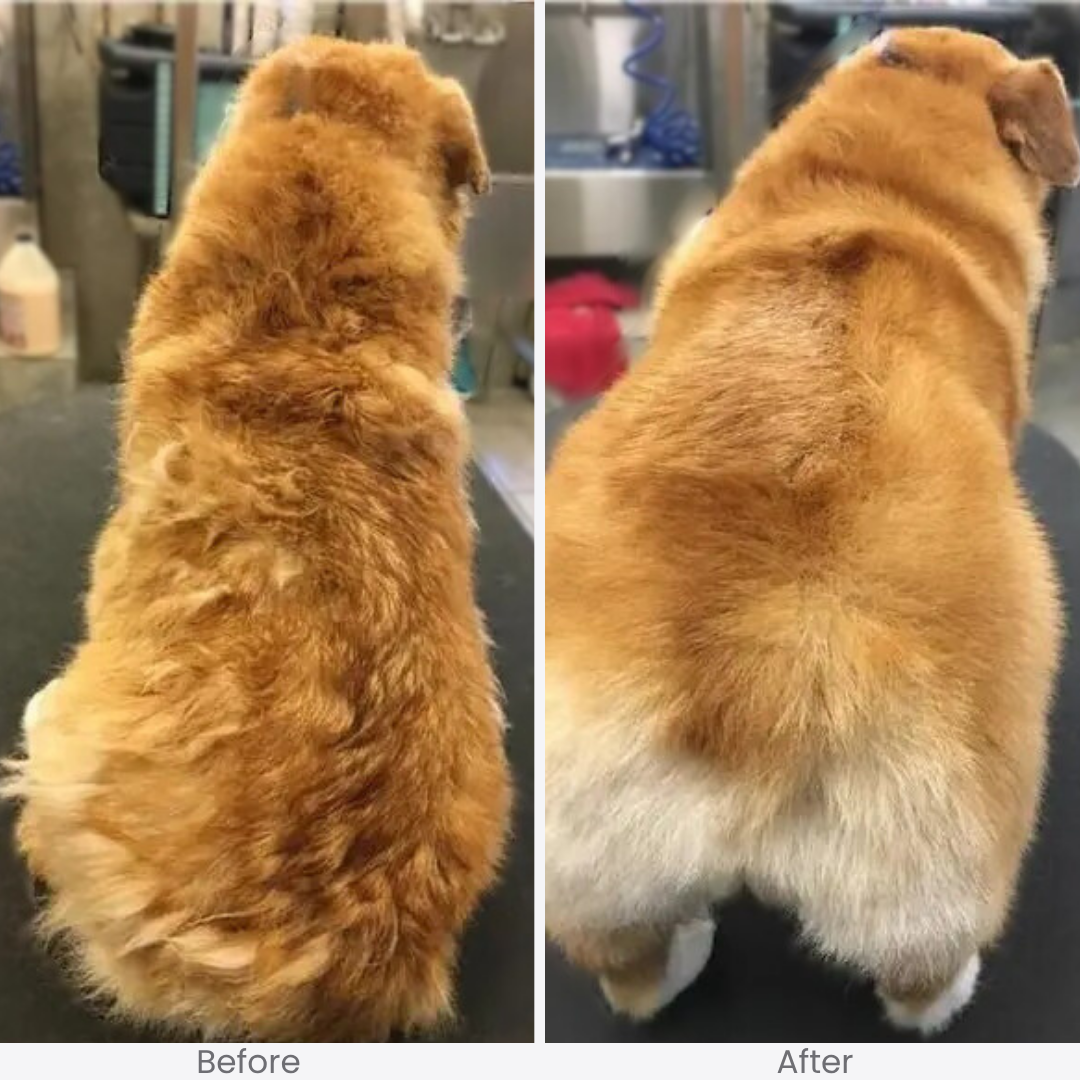 FreshFur™ Mist Brush