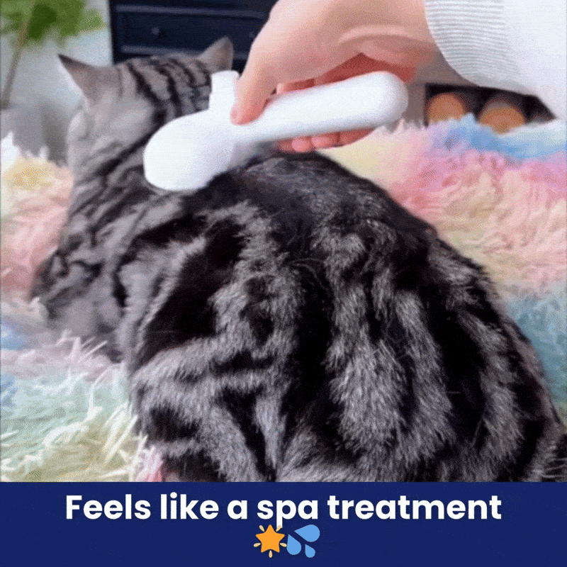 FreshFur™ Mist Brush