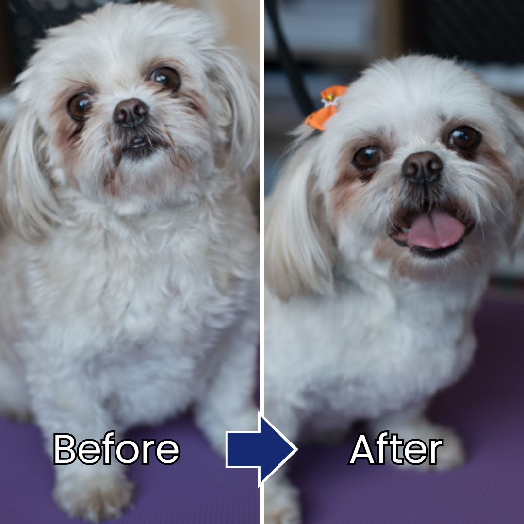 Pet Hair & Skin Care Essence