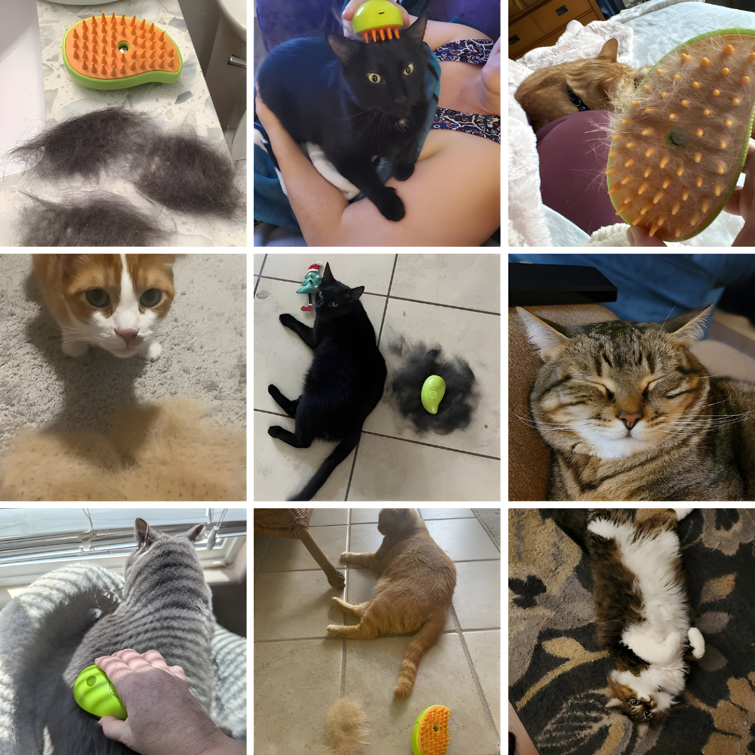 FreshFur™ Mist Comb for Cats