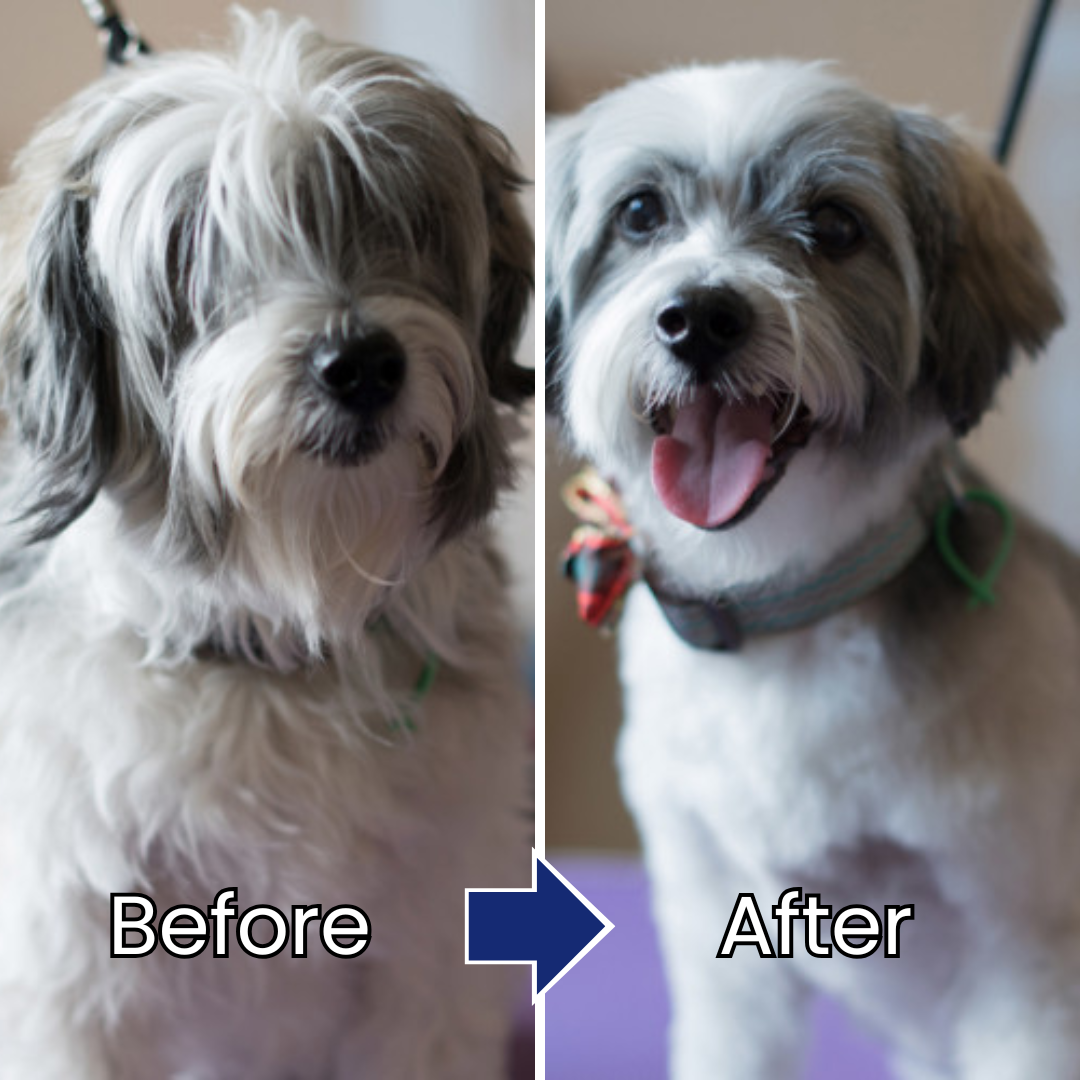 Pet Hair & Skin Care Essence