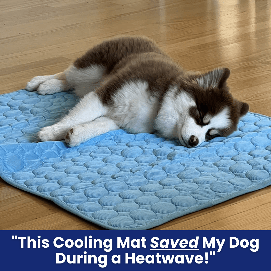 IceSilk™ Dog Cooling Mat