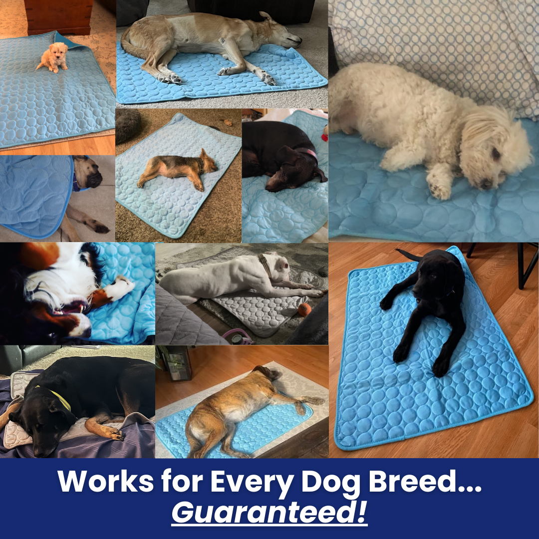 IceSilk™ Dog Cooling Mat