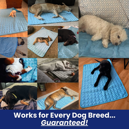 IceSilk™ Dog Cooling Mat