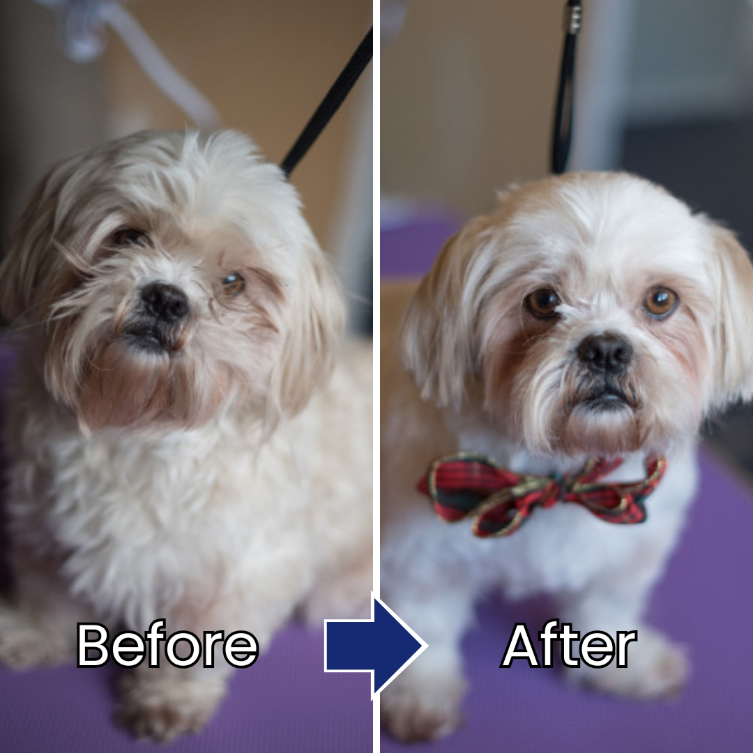 Pet Hair & Skin Care Essence