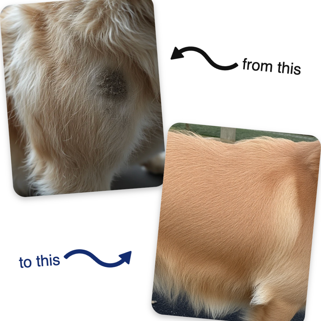 FreshFur™ Mist Brush