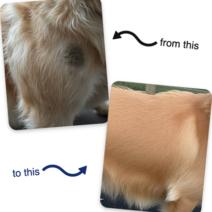 FreshFur™ Waterless Conditioner