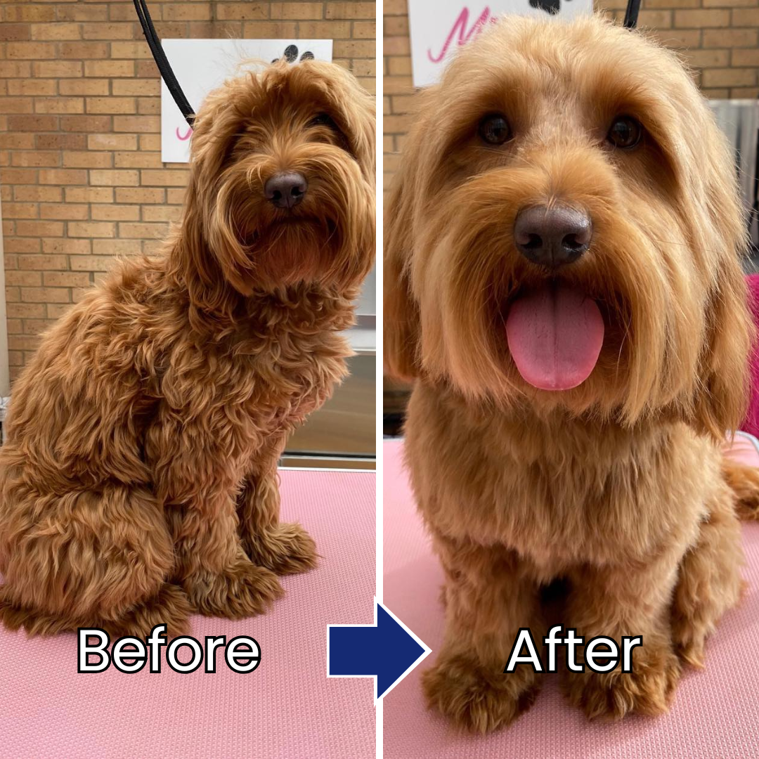 Pet Hair & Skin Care Essence