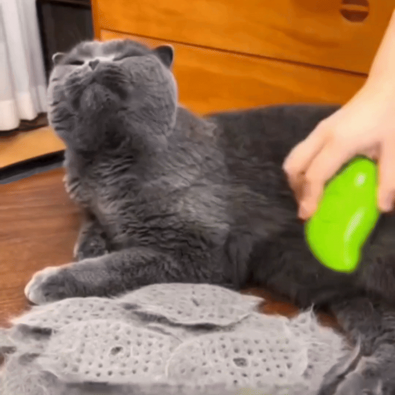 FreshFur™ Mist Comb for Cats