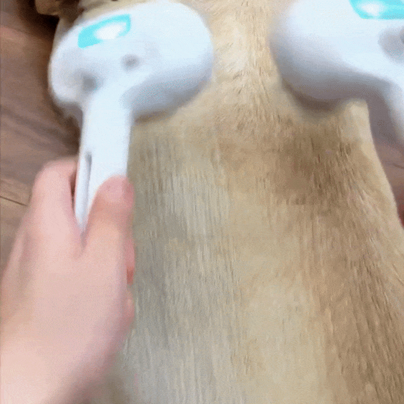 FreshFur™ Mist Brush