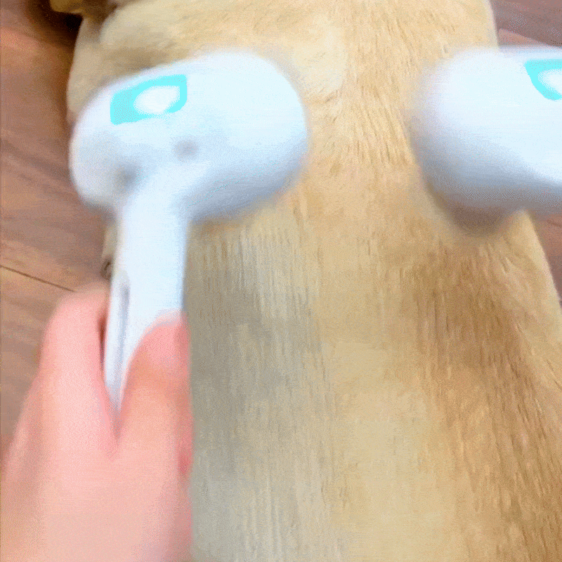 FreshFur™ Mist Brush