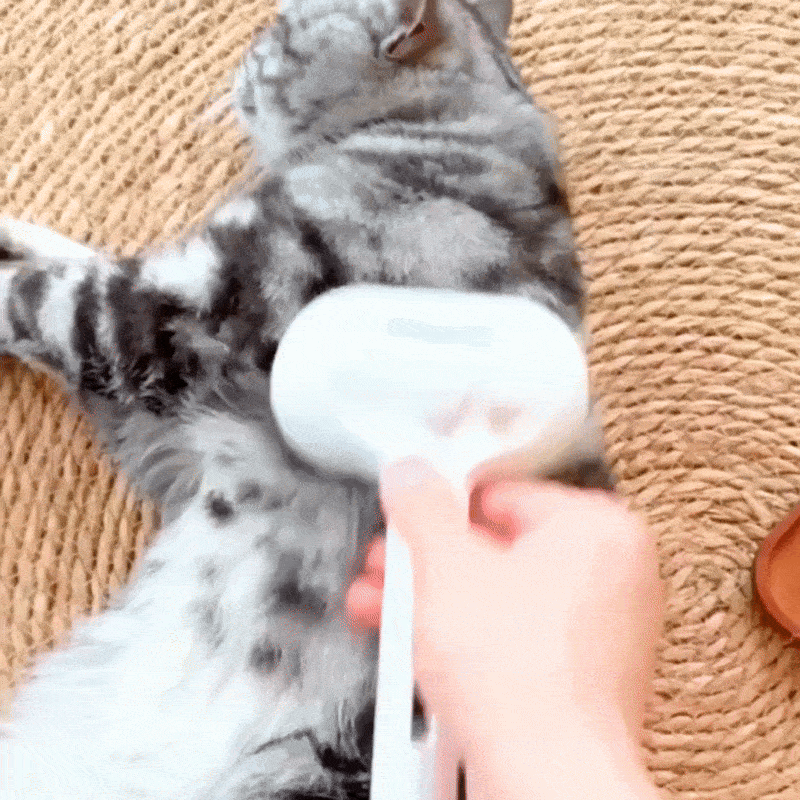 FreshFur™ Mist Brush for Cats