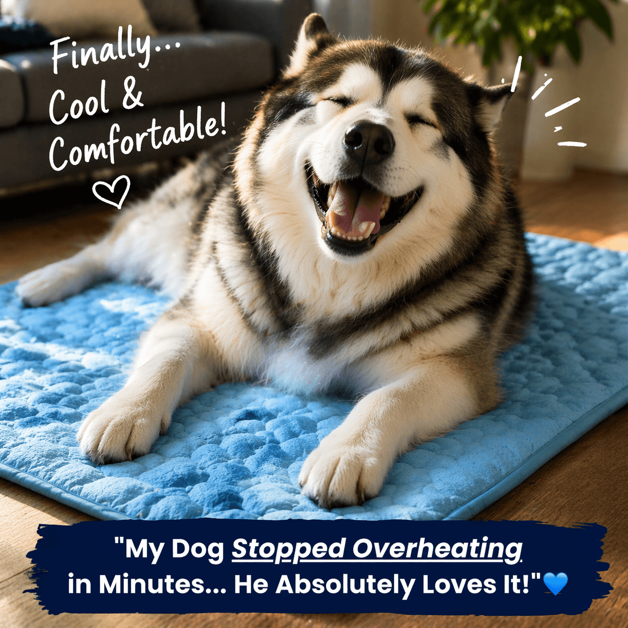 IceSilk™ Dog Cooling Mat