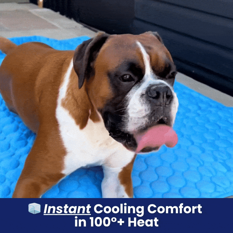 IceSilk™ Dog Cooling Mat