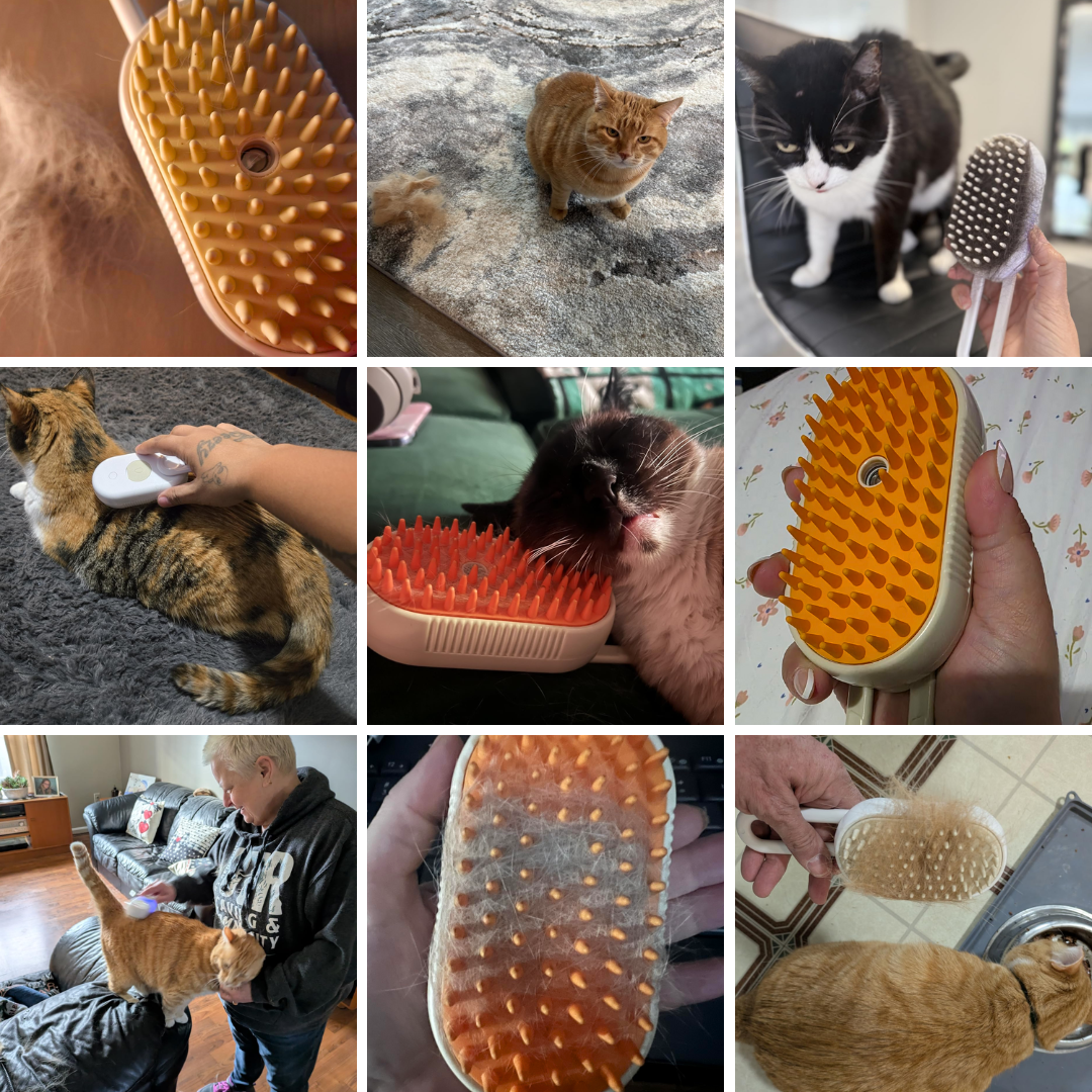 FreshFur™ Mist Groomer for Cats