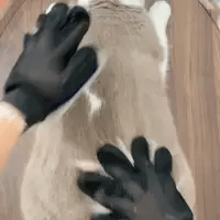 FurMagnet Grooming Glove