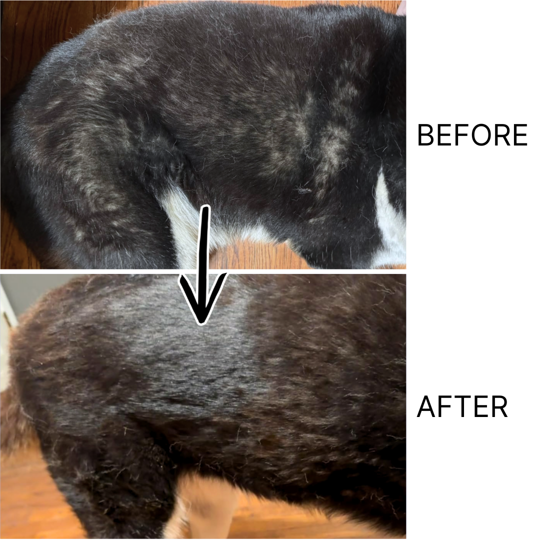 Pet Hair & Skin Care Essence