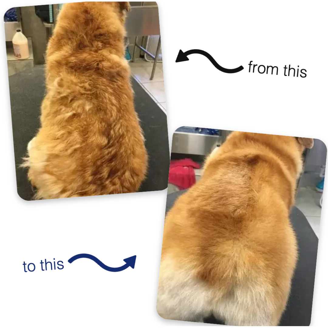 FreshFur™ Mist Brush