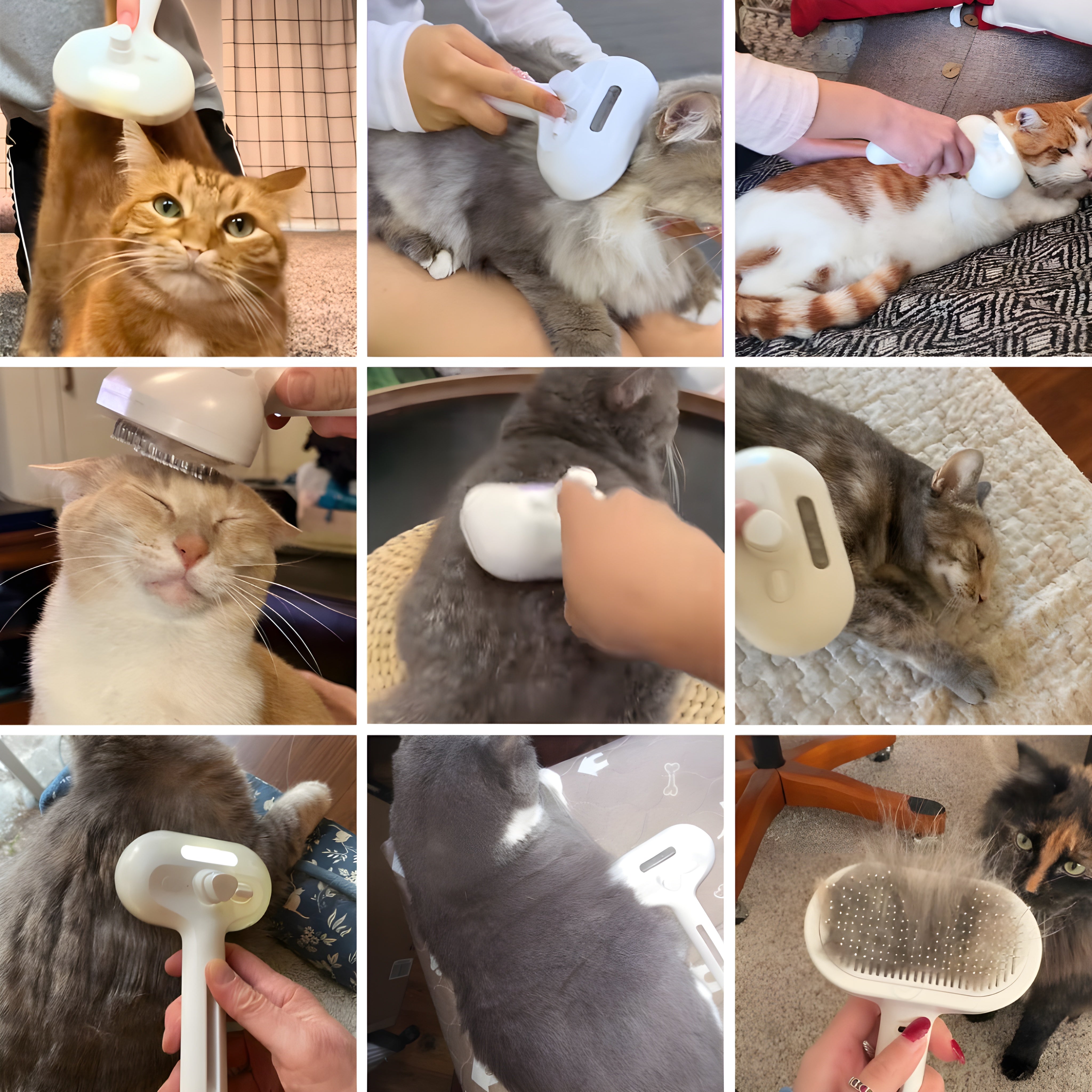 FreshFur™ Mist Brush for Cats