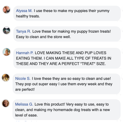 100+ Homemade Dog Treats Cookbook (Digital Download)