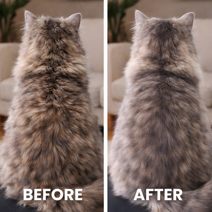 FreshFur™ Mist Brush for Cats
