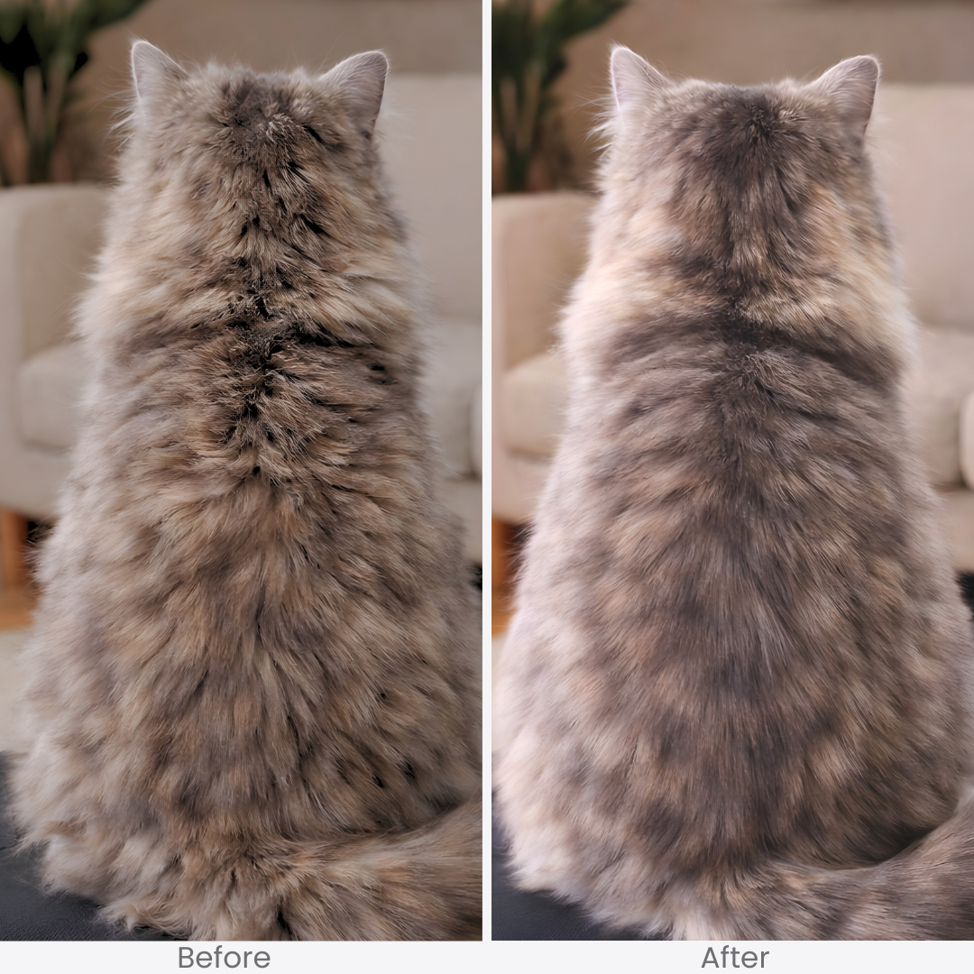 FreshFur™ Mist Brush