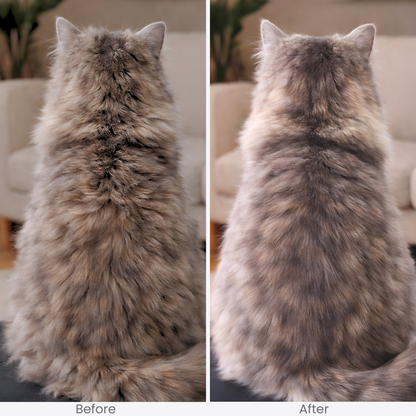 FreshFur™ Mist Brush