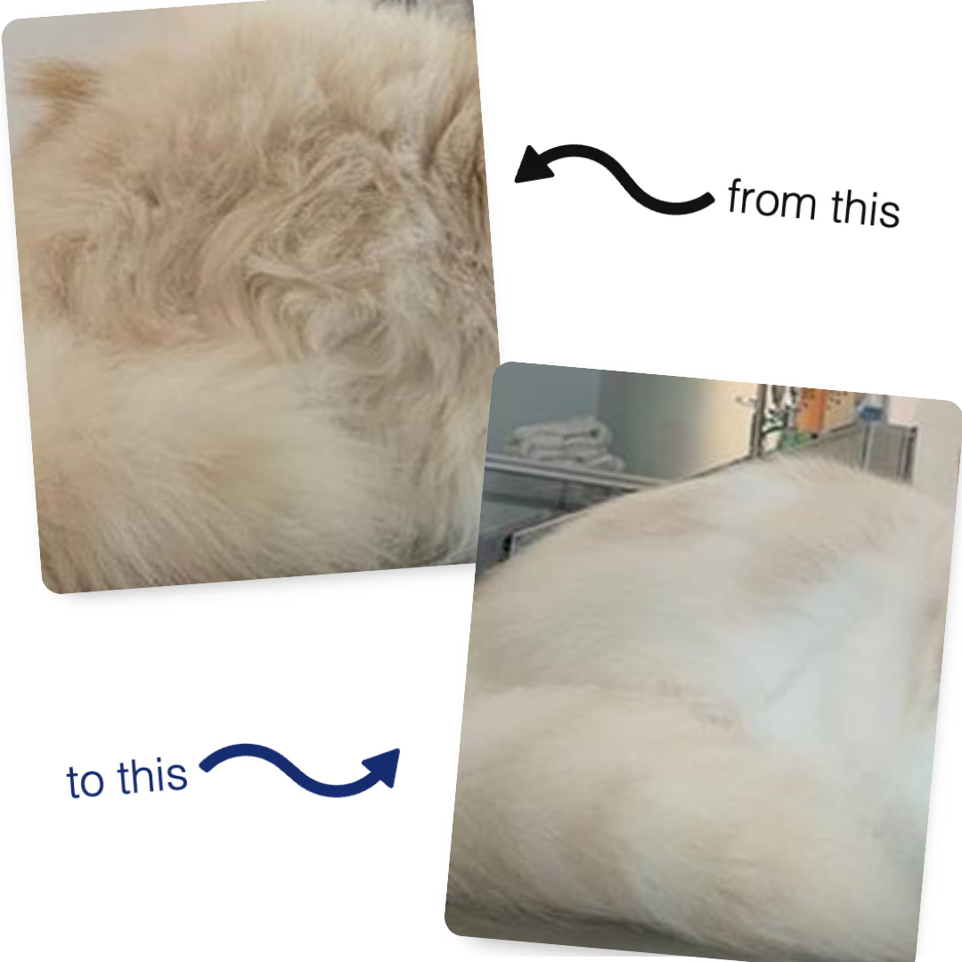 FreshFur™ Mist Brush