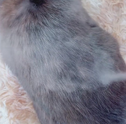 FreshFur™ Mist Brush