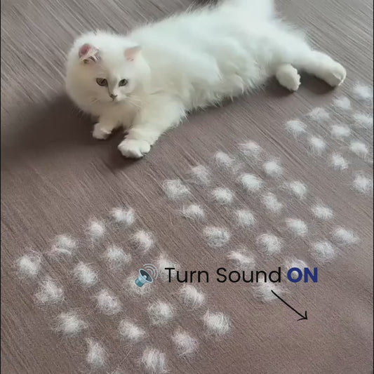 FurMagnet™ Glove