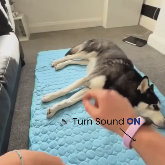 IceSilk™ Dog Cooling Mat