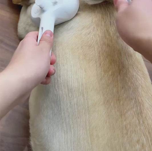 FreshFur™ Mist Brush