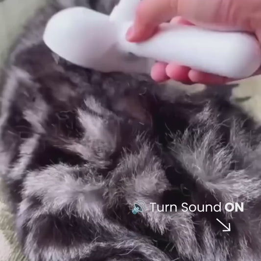 FreshFur™ Mist Brush
